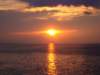 dsc00409_small.jpg