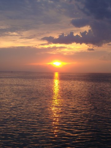 dsc00411.jpg
