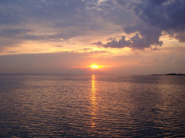 dsc00413.jpg
