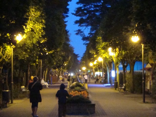 dsc00836.jpg