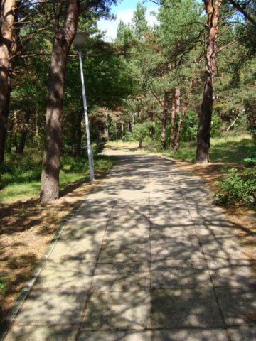 dsc00912.jpg