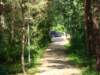 dsc00917_small.jpg
