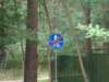 dsc00931_small.jpg