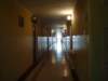 dsc00937_small.jpg