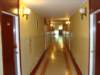 dsc00938_small.jpg