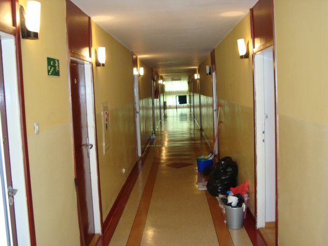dsc00941.jpg
