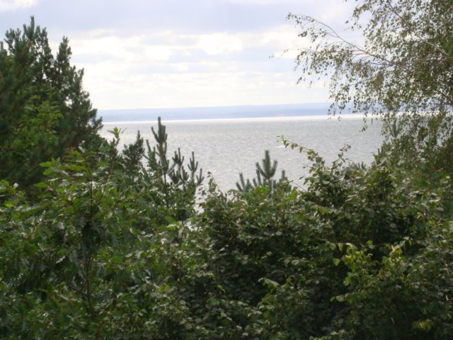dsc00944.jpg