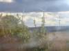 dsc00952_small.jpg
